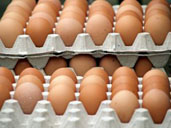 Egg prices hit record high