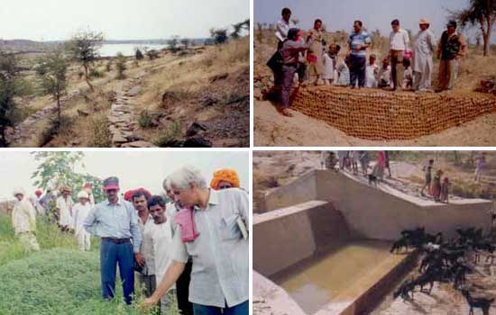 Enriching community pastures - Villagers of Gudha Gokulpura in Bundi, Rajasthan take the lead 