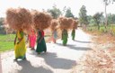 Innovations in Common Land Development - Strengthening Institutional and Physical Spaces for Poor Livestock-keepers 