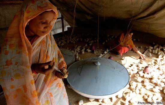 Mitigating Diseases and Saving Valuable Assets - Poultry Vaccinators Delivering Services to the Doorstep of the Poorest in Bangladesh