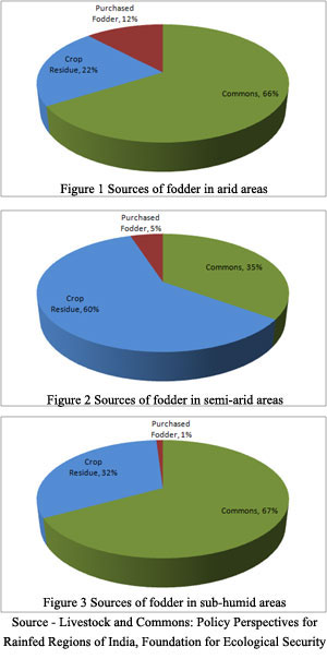 Sources of fodder