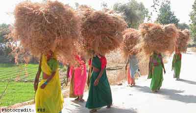 Women carrying fodder