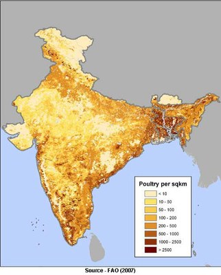 poultry-per-sqkm-in-India