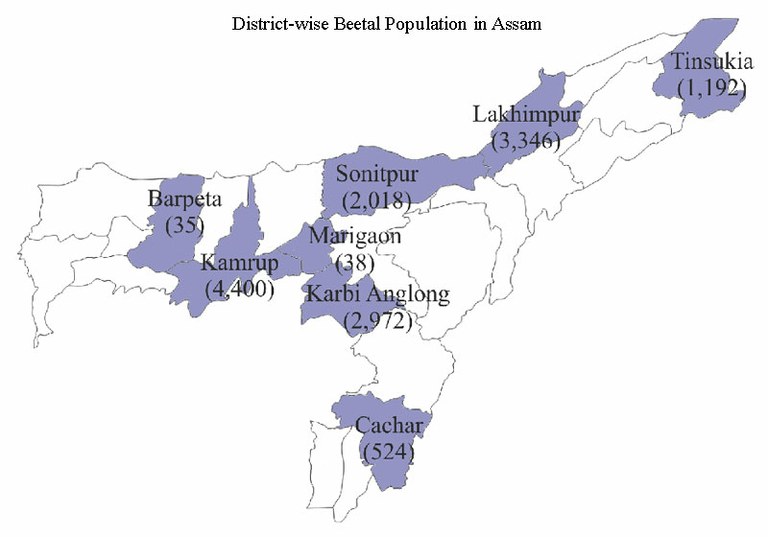 district-wise-beetal-assam
