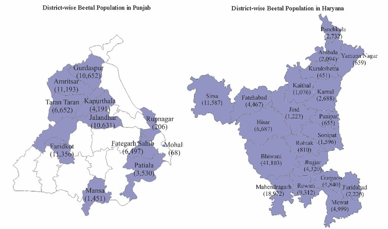 district-wisebeetalpunjabharyana