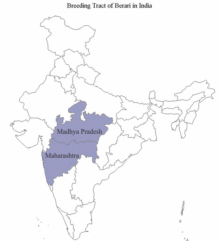statewise-Berari-in-india