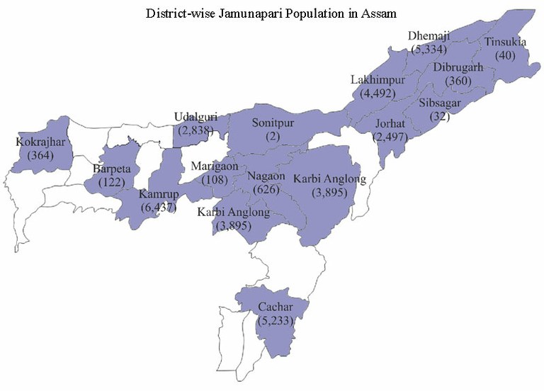 distctwise-jamunapari-assam