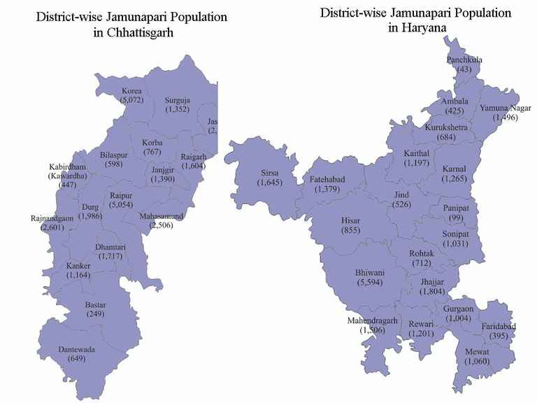 distctwise-jamunapari-chhatisgarh-haryana