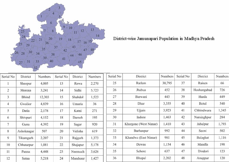 districtwise-Jamunapari-MP