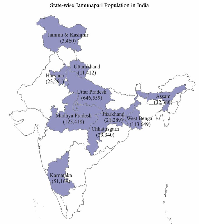 statewise-Jamunapari-India