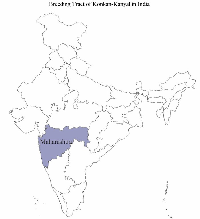 Konkan-Kanyal-India