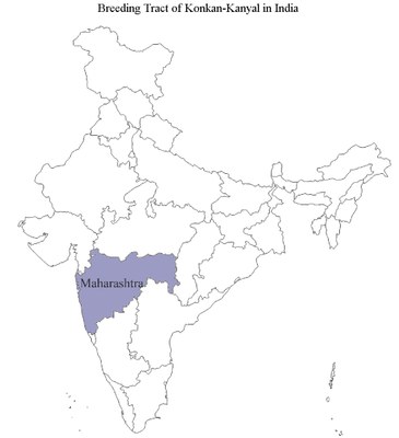 Konkan-Kanyal-India