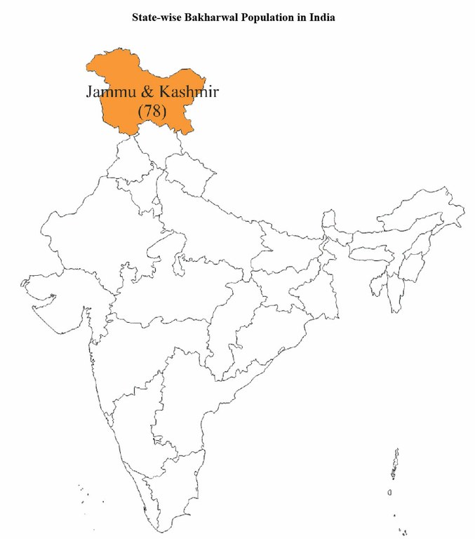 Bakharwal-india