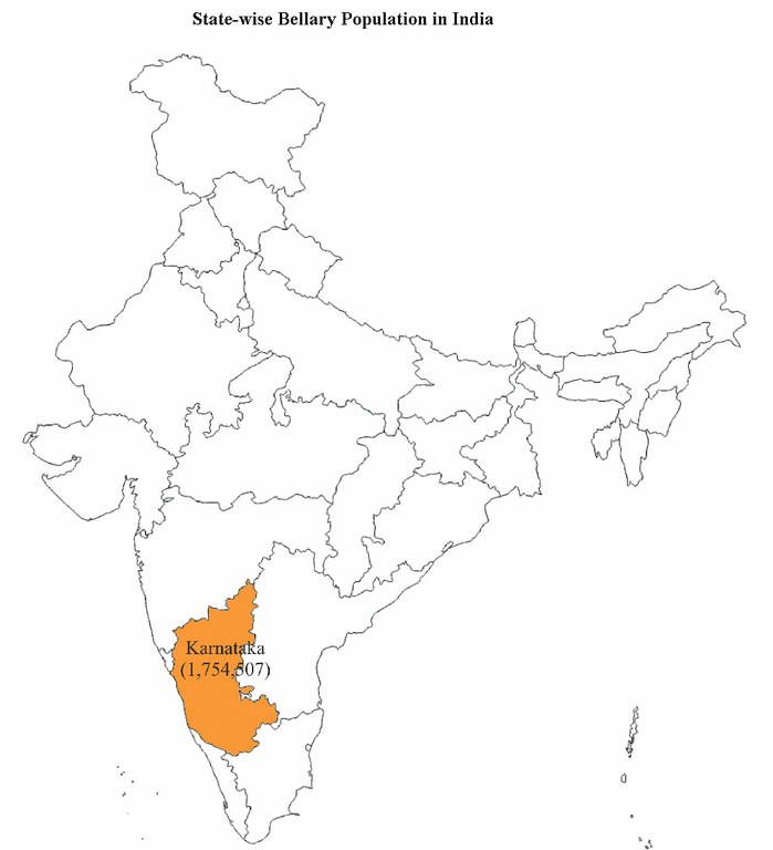 bellary-india