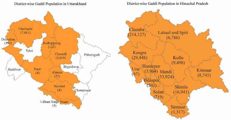 gaddi-UTandHP