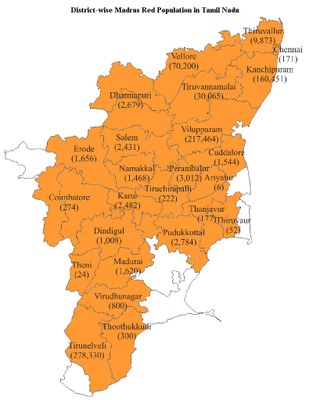districtwise-madrasred-TN