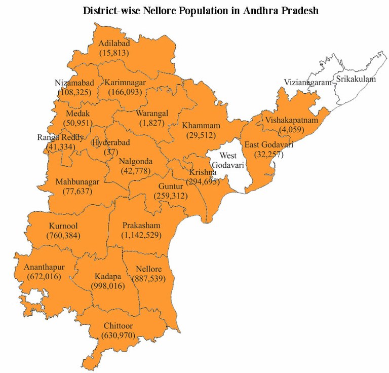 Nellore-AndhraPradesh