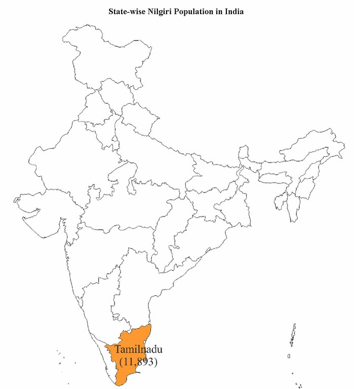 statewise-nilgiri