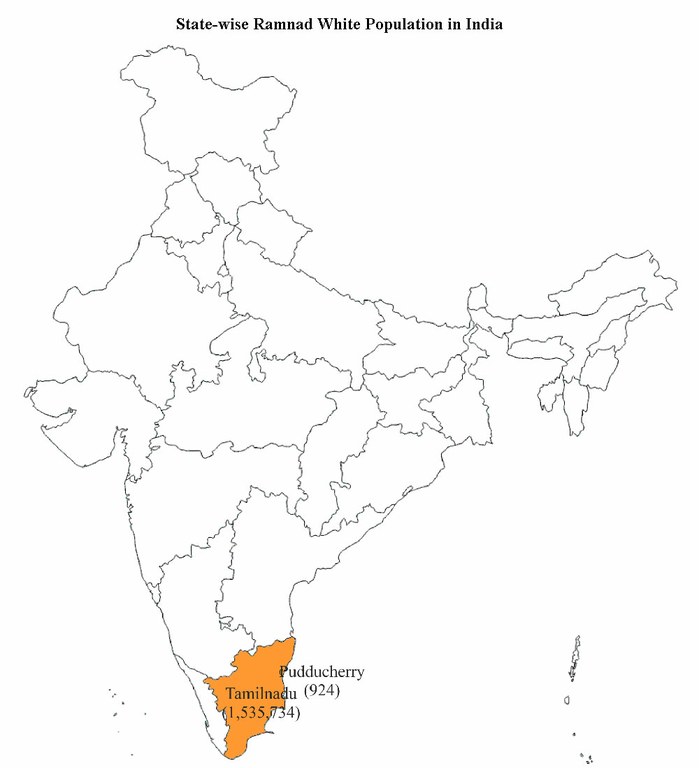 ramnadwhite-india