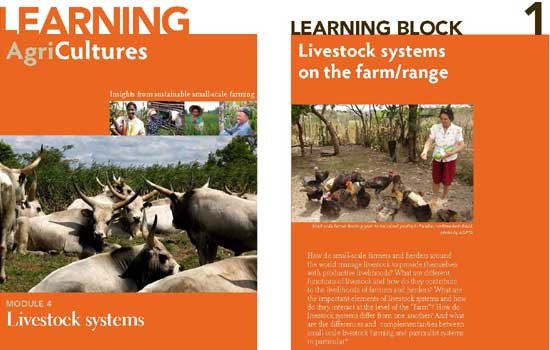 Learning AgriCultures - Insights from sustainable small-scale farming