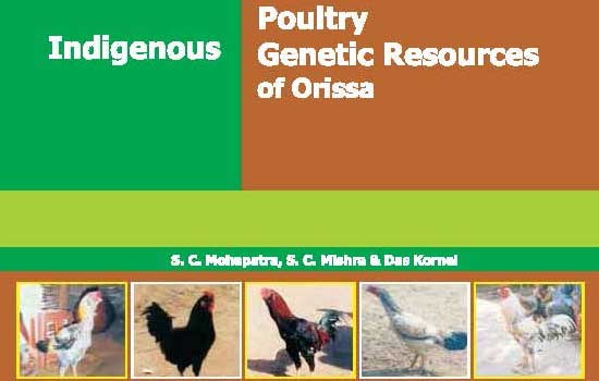 Indigenous Poultry Genetic Resources of Orissa