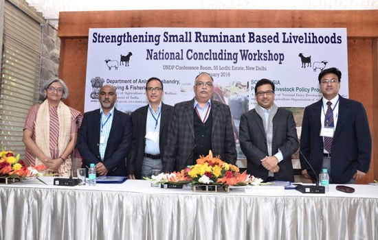 Strengthening Small Ruminant Based Livelihoods - National Concluding Workshop: Presentations