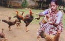 Conserving indigenous poultry breeds - Black Haringhata and Aseel in West Bengal