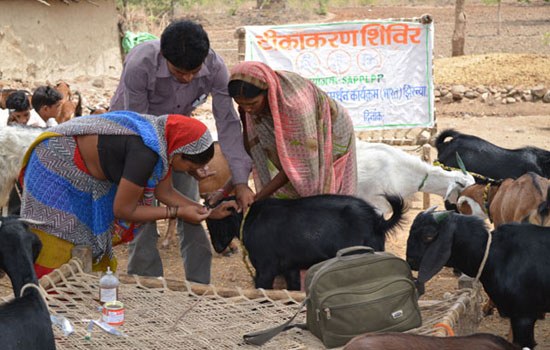 Empowering Women for Backyard Poultry and Goat Based Livelihood Improvement