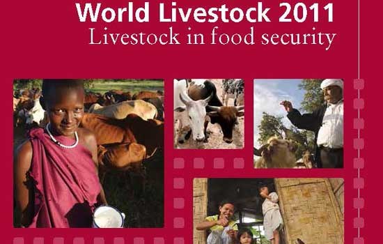 World Livestock 2011 – Livestock in Food Security, a recent report published by the Food and Agricultural Organization of the United Nations