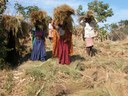 Reaping rich harvest from conservation