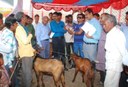 Bakri Palak Sammelan to raise awareness on collective goat marketing