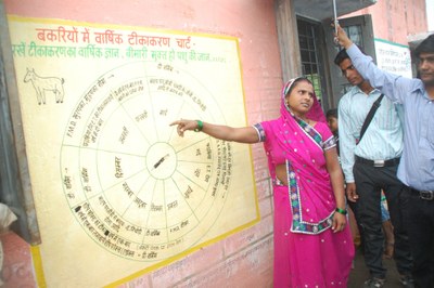 Pashu Sakhi Nima Bai confidently explaining the vaccination schedule of goats, to dignitaries during a field visit in July 2014