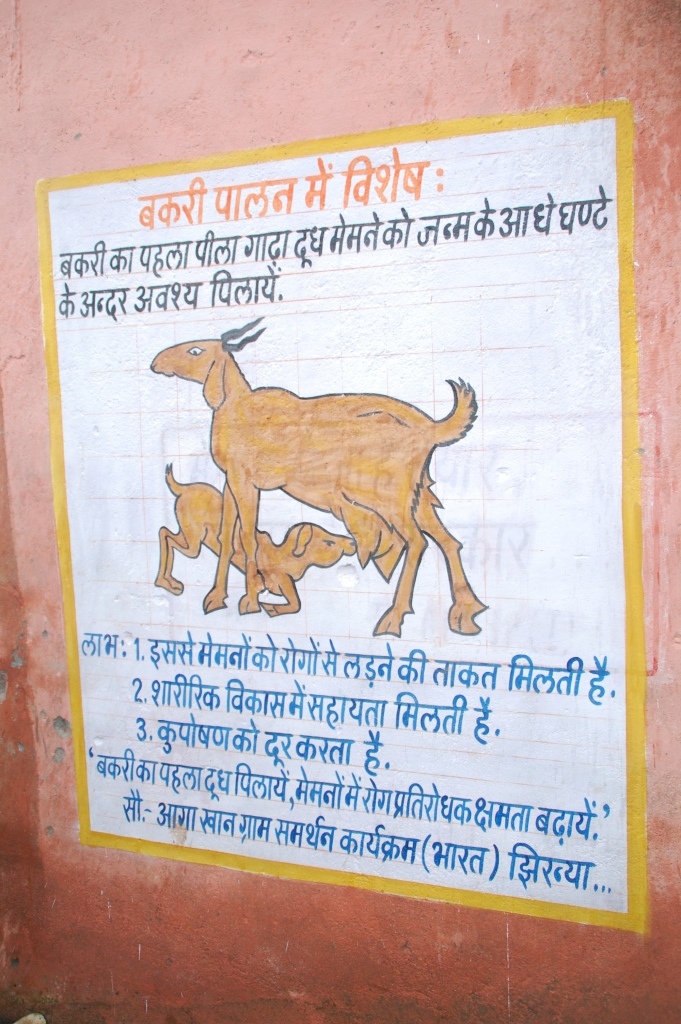 Wall paintings to raise awareness on Improved Goat Management Practices