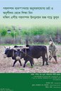 Build a South Asia Platform on Livestock Development