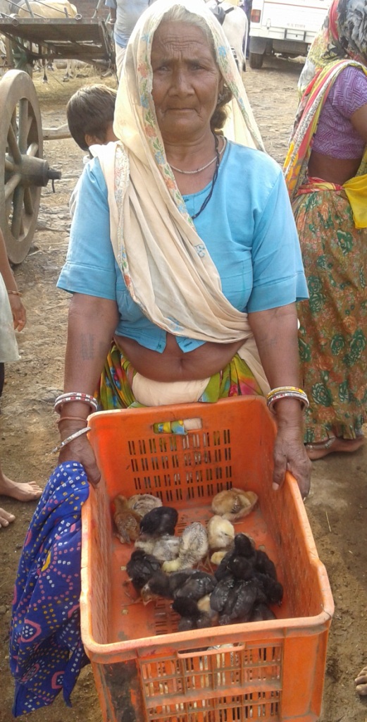 Beneficiary with chicks distributed to BPL families in Rama block