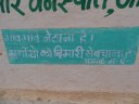 Messages on village walls for raising awareness on backyard poultry rearing