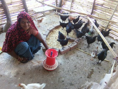 Murgi Sakhi Ditu Parmar with her poultry flock