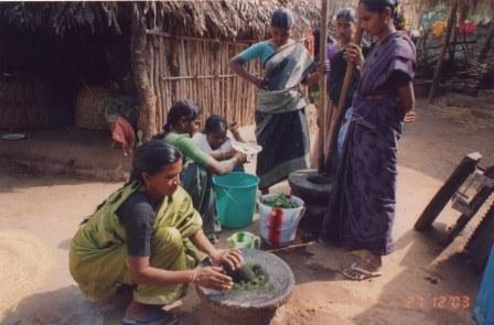 Women making ethno-veterinary medicines for Poultry