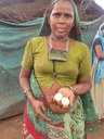 A women poultry rearer displaying desi eggs, Village Navapara, District Jhabua