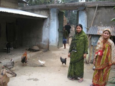 Young Bengali housewives with their Kuroiler flock.