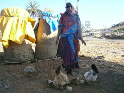 Gumibai from Nawapada village in the Rama block with her flock of desi poultry.