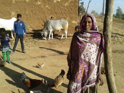 Halwanbai from Ruparel village in the Rama block with her  flock of desi poultry.