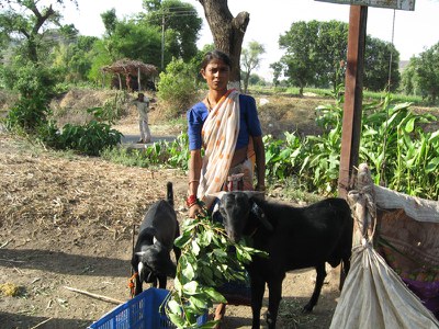 Beemabai  Pandurang from Keli-Rumhanwadi village in Ahmadnagar district of Maharashtra