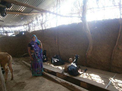 Rekhabai from Jhamli village in her goat shed. 