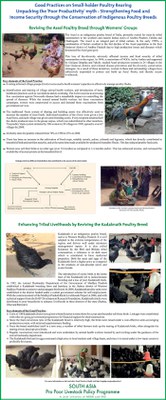 Conservation of indigenous poultry breed - Aseel and Kadaknath