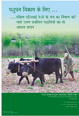 Build a South Asia Platform on Livestock Development