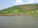 Impact of watershed intervention in Dindorkheda village