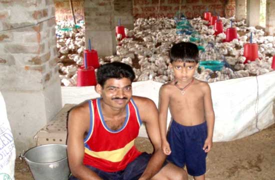 Vertical Integration at Suguna Poultry Farms - A Critical look at Pro Poor Livelihood Issues