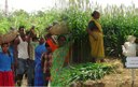 Building Fodder Security in Rural Areas: Validation of Traditional Knowledge on Fodder and its Reintegration into Livelihoods