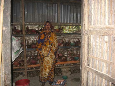 Sustainable Livelihoods for the Rural Poor through Small Scale Poultry Rearing